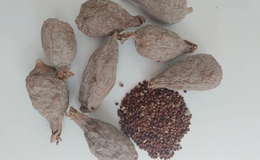 Explore Nigerian Spices: Uses and Benefits - NaijaMart