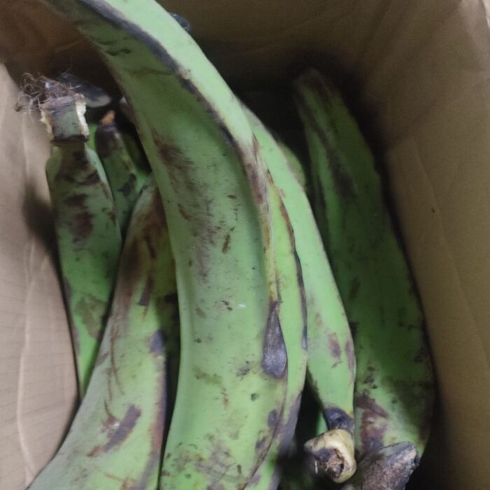 Green/Unripe Plantains - Image 7