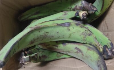 Green unripe plantain in a box