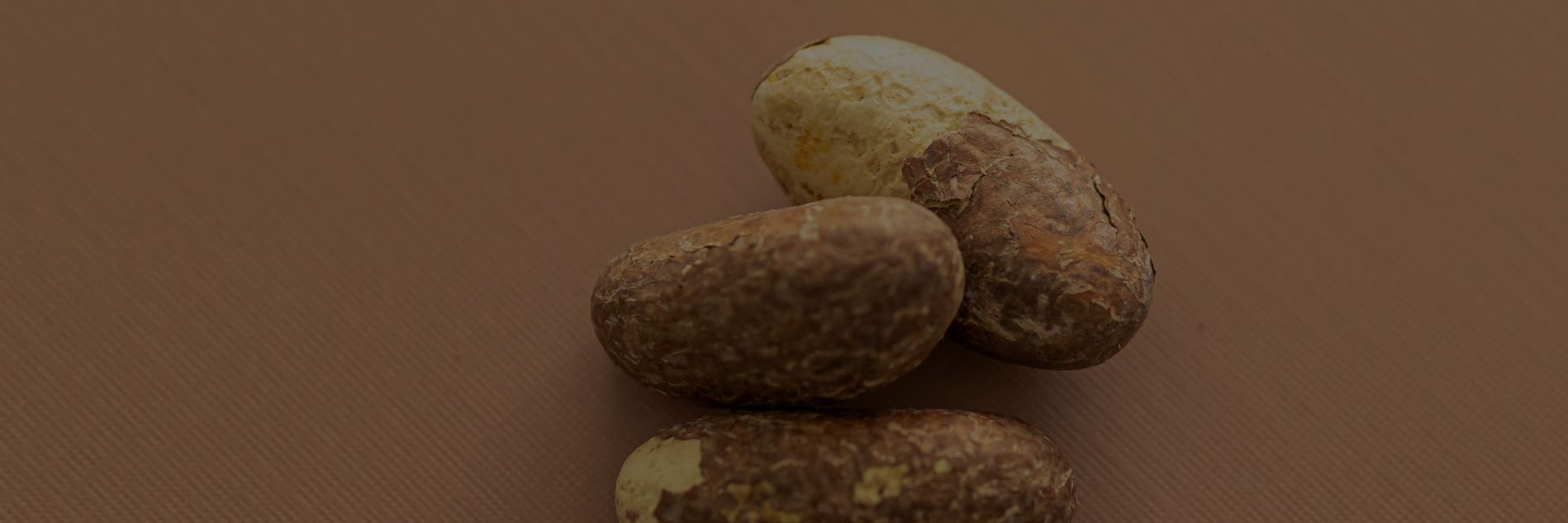 Nuts & Seeds