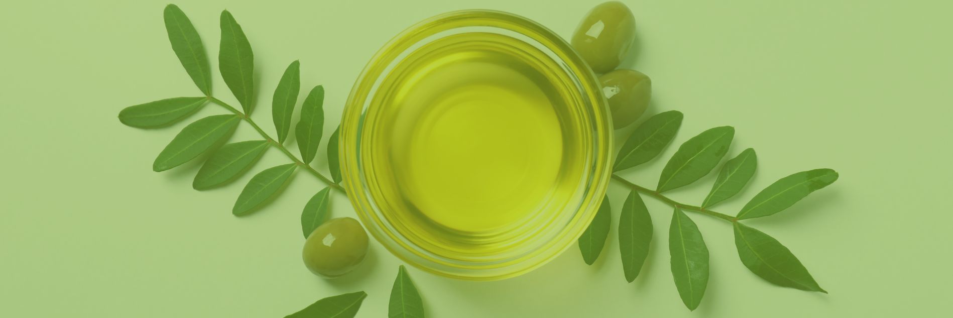 Oils & Condiments