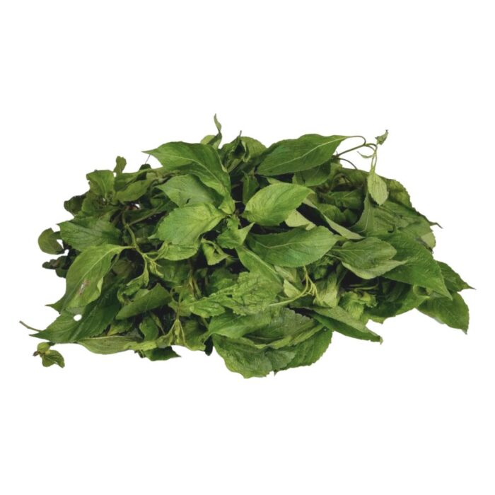 Fresh Scent Leaf (Efirin/Nchuanwu)