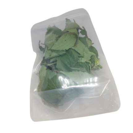 Fresh Scent Leaf (Efirin/Nchuanwu)