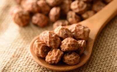 Tiger nuts, also known as ofio (Yoruba), aya (Hausa), or aki hausa in Nigeria, are small but mighty tubers that have captured the attention of health-conscious snackers and traditional food lovers alike. Despite the name, tiger nuts in South Africa aren't actually nuts—they're the edible root of the Cyperus esculentus plant. Known for their naturally sweet, nutty flavor and chewy texture, they’ve been a staple in Nigerian homes for generations. In South Africa, tiger nuts in South Africa are gaining popularity not only for their unique taste and cultural connection but also for their versatility. Whether eaten raw, soaked, or blended into drinks like kunu aya (tiger nut milk), these tiny tubers pack a sensory and nostalgic punch that reminds many of home. What Are Tiger Nuts in South Africa? Tiger nuts are nutrient-rich tubers, not actual nuts. They grow underground like peanuts and are harvested for their sweet, earthy flavor. Traditionally enjoyed in Nigeria and other West African countries, they are now found globally in dried, raw, or powdered form. They are naturally gluten-free, plant-based, and high in fibre, making them popular among people looking for wholesome snacking options. What Are the Benefits of Eating Tiger Nuts in South Africa? Tiger nuts are commonly consumed for their high fibre content, plant-based nutrients, and naturally occurring sweetness. They are often included in diets that focus on digestion, sustained energy, and whole foods. They are also versatile—perfect for raw snacking, soaking, grinding into flour, or blending into a creamy milk drink. While tiger nuts in South Africa are celebrated for their wholesome properties, it's important to note that no medical or health claims are made here. Are Tiger Nuts in South Africa Good for Men and Women? Yes, tiger nuts in South Africa are enjoyed by both men and women across Africa and beyond. In Nigerian culture, some associate them with vitality and energy, but there’s no scientific consensus backing those traditional beliefs. Culturally, they’re often seen as a snack that nourishes the whole family. What Do Tiger Nuts in South Africa Do to Your Body? While tiger nuts in South Africa are packed with fibre and resistant starch, which some studies associate with digestion and satiety, they are mostly enjoyed for their taste and natural sweetness. Many people include them in their diets for variety and to reconnect with traditional foodways. Can I Eat Tiger Nuts in South Africa Every Day? Yes, many people snack on tiger nuts in South Africa daily, especially when soaked to soften the chew. As with any food, moderation is key. Their high fibre content means starting with small amounts is a good idea for those new to them. What Is the Best Way to Eat Tiger Nuts in South Africa? Soak them overnight to soften Eat raw as a chewy snack Blend with dates and water to make kunu aya (tiger nut milk) Grind into flour for baking or smoothie use Do Tiger Nuts in South Africa Have Side Effects? Tiger nuts are generally well-tolerated. However, due to their high fibre content, eating large amounts—especially when dry—may cause temporary bloating or discomfort. Soaking helps reduce this effect. Are Tiger Nuts in South Africa Good for Weight Loss? Tiger nuts are often included in high-fibre, plant-based diets. Their chewy texture and natural sweetness may help with satiety. However, no direct weight loss claims are made here. They’re best enjoyed as part of a balanced lifestyle. How Long Should I Soak Tiger Nuts in South Africa Before Eating? Soak tiger nuts in South Africa in clean water for 8–24 hours, depending on desired softness. Soaking makes them easier to chew and more enjoyable as a snack or for blending into kunu aya. Can I Drink Tiger Nut Milk Every Day? Many people enjoy homemade kunu aya daily. It’s a traditional drink made from soaked tiger nuts in South Africa, often blended with dates and ginger. While it's a beloved treat, it's best consumed as part of a balanced diet. Tiger Nuts in South Africa Clicks – Are They Available? No, tiger nuts in South Africa are not available at Clicks as of the latest updates. Most mainstream pharmacies and health stores in South Africa don’t currently stock them. Tiger Nuts in South Africa for Sale Dischem – Can I Buy Them There? No, tiger nuts in South Africa are not sold at Dischem either. If you’re looking for authentic, well-packaged tiger nuts in South Africa in South Africa, NaijaMart.co.za is your go-to online store. Tiger Nuts in South Africa Benefits Tiger nuts are valued for their fibre, plant-based nutrients, and versatility. They’re often used in healthy snacking, smoothies, flour, and traditional drinks. Many customers enjoy them as a wholesome alternative to processed snacks. Tiger Nuts in South Africa for Sale You can buy tiger nuts in South Africa online from NaijaMart.co.za, South Africa’s trusted source for authentic Nigerian products. We offer 250g, 500g, and 1kg packs with fast local delivery and excellent customer service. Tiger Nuts in South Africa Wikipedia According to Wikipedia, tiger nuts in South Africa are part of the Cyperus genus and are cultivated worldwide. They have historical uses dating back to ancient Egypt. Tiger Nuts in South Africa Seeds – What Are They? Tiger nuts are often called seeds, but they’re technically tubers. However, the term "tiger nut seeds" is commonly used in online searches and refers to the same chewy, earthy snack. Ready to Try Tiger Nuts in South Africa? At NaijaMart.co.za, we deliver authentic Nigerian products with fast, local delivery in South Africa. Our tiger nuts in South Africa are carefully sourced and packed to bring you a taste of tradition with every bite. Shop tiger nuts in South Africa now and reconnect with the rich, nutritious flavours of home!