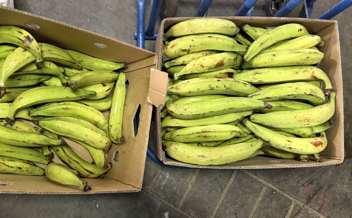 Buying Nigerian food online in South Africa - Plantain