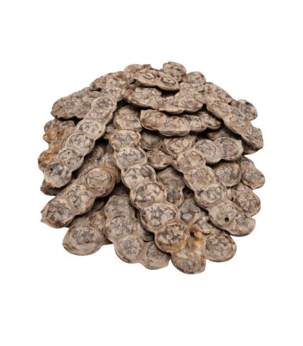 Bagaruwa (Nep Nep) | Traditional Acacia Pods & Seeds