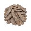 Bagaruwa (Nep Nep) | Traditional Acacia Pods & Seeds
