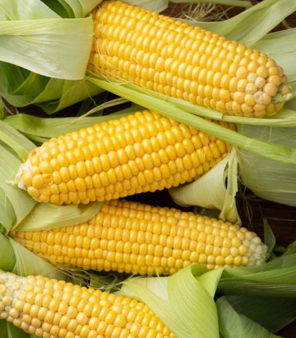 Fresh Corn (7 Pack)