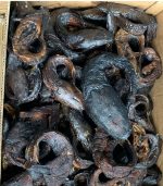 Smoked Cat Fish